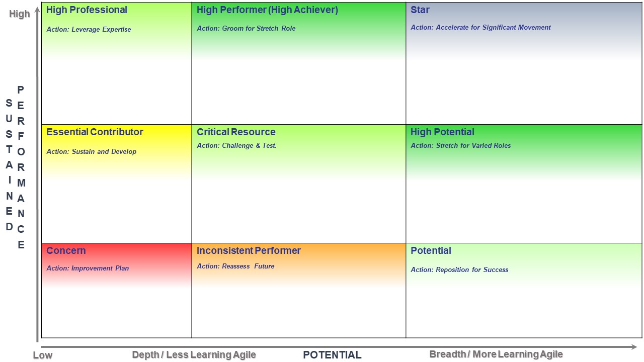 Acumen Acumencaribbean Caribbean Trinidad and Tobago Tnt T&T Human Resources 9  box 9-box 9-Grid Grid